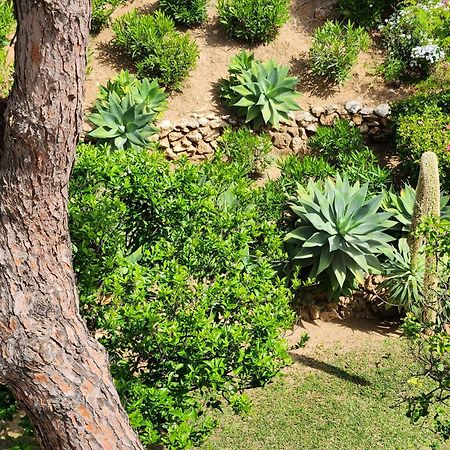 Elena Flat Lovely Paradise Above The Sea Sitio de Calahonda ภายนอก รูปภาพ