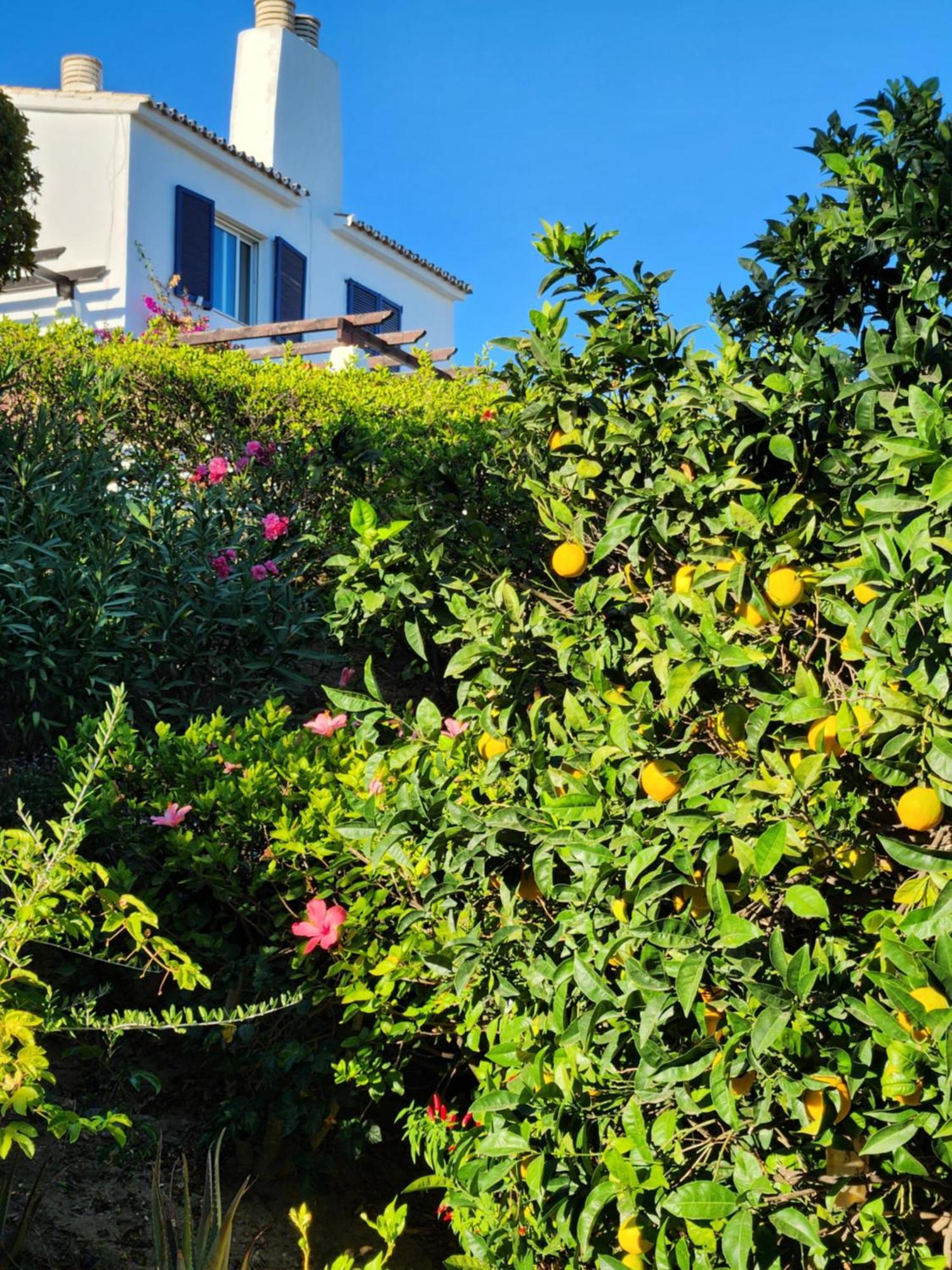 Elena Flat Lovely Paradise Above The Sea Sitio de Calahonda ภายนอก รูปภาพ
