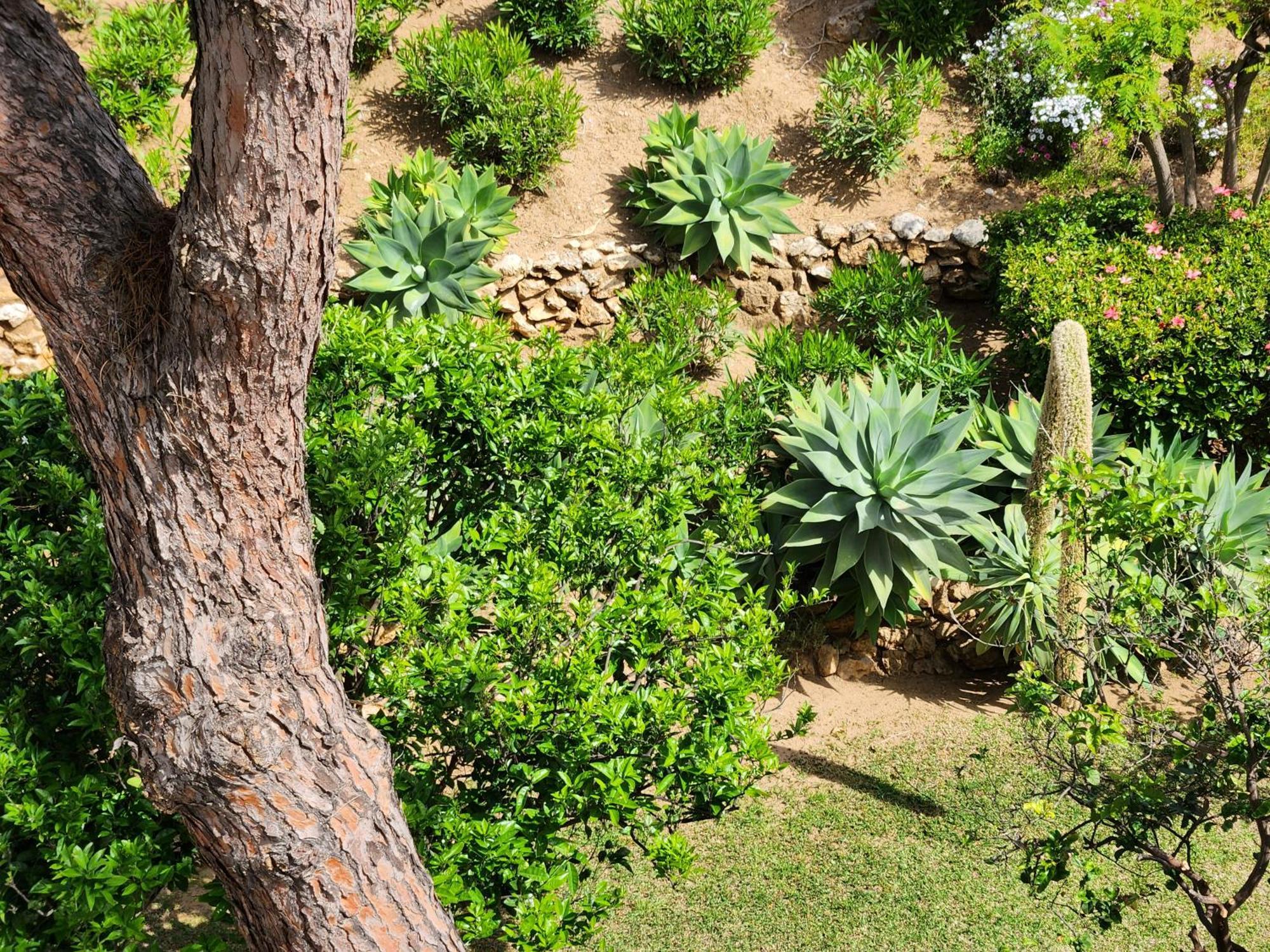 Elena Flat Lovely Paradise Above The Sea Sitio de Calahonda ภายนอก รูปภาพ